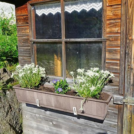 Ferienwohnungen Kappeler Bad Hindelang Zewnętrze zdjęcie